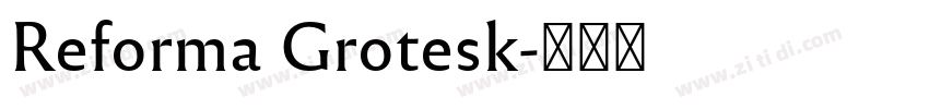 Reforma Grotesk字体转换